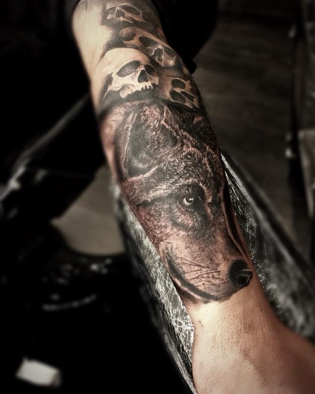 Wolfs Head Forearm Tattoo in Black and Grey by Tattoo Artist Alan Lott at Sacred Mandala Studio.